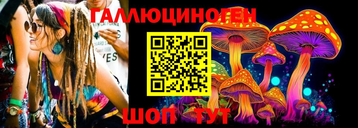 Псилоцибиновые грибы Psilocybine cubensis  Галлюциногенные грибы Psilocybe  Мариинск  Вход с VPN 